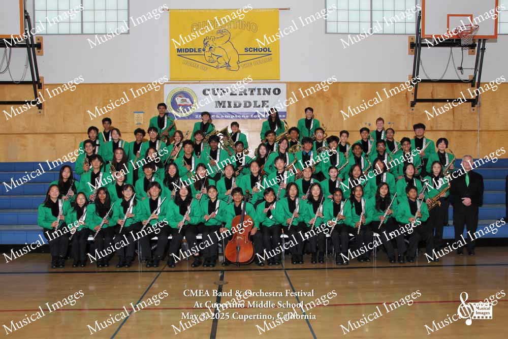 Musical Images